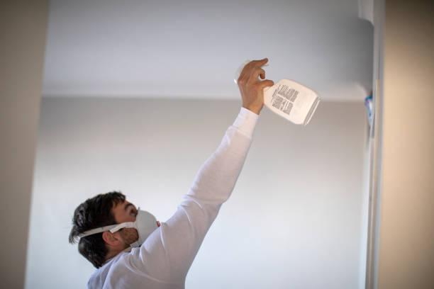 Best Mold Testing and Inspection Services in Fishhook, AK